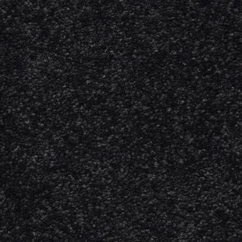 Morgan Bay in Metropolis Carpet