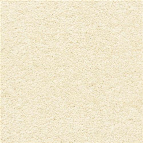 Vero Beach in Seed Carpet
