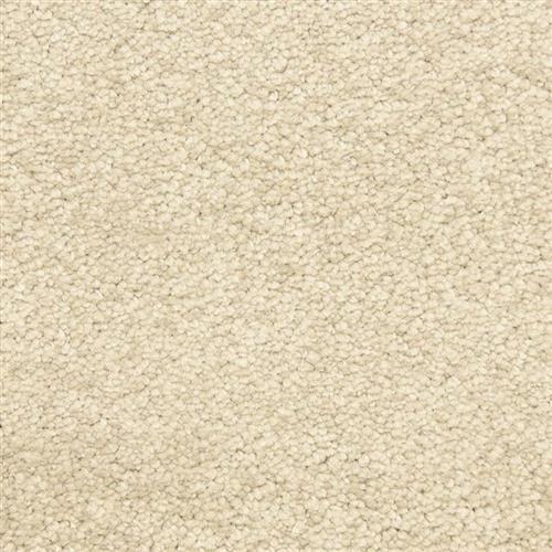 Vero Beach in Ledge Carpet