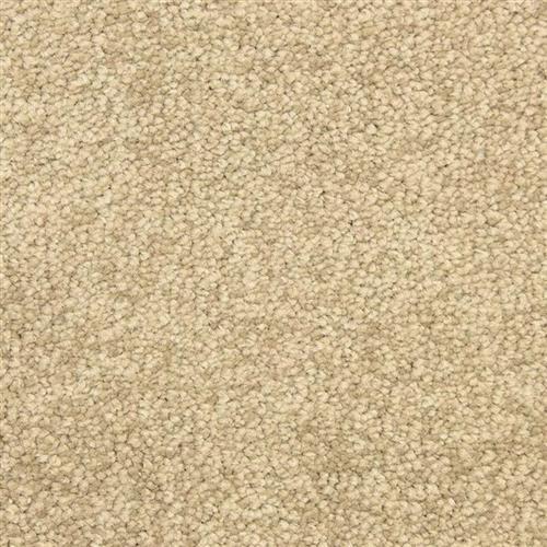 Vero Beach in Sedgewick Carpet