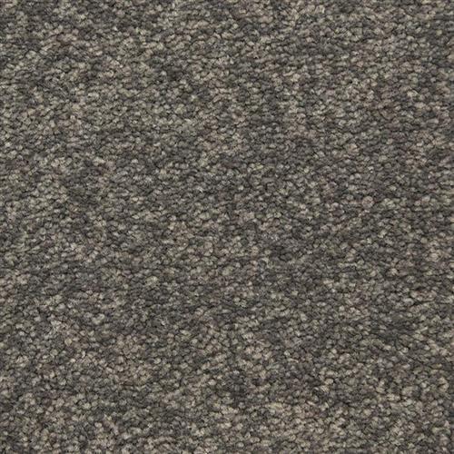Vero Beach in City Limits Carpet
