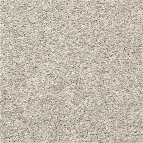 Vero Beach in Falcon Grey Carpet
