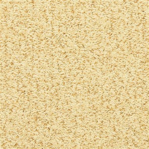 Sea Grass in Star Fish Carpet