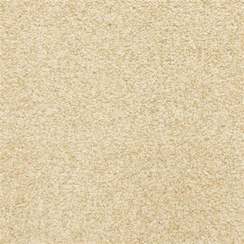 This and That in Gulf Sands Carpet