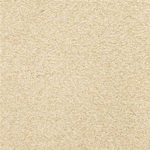 This and That in Boucle Carpet