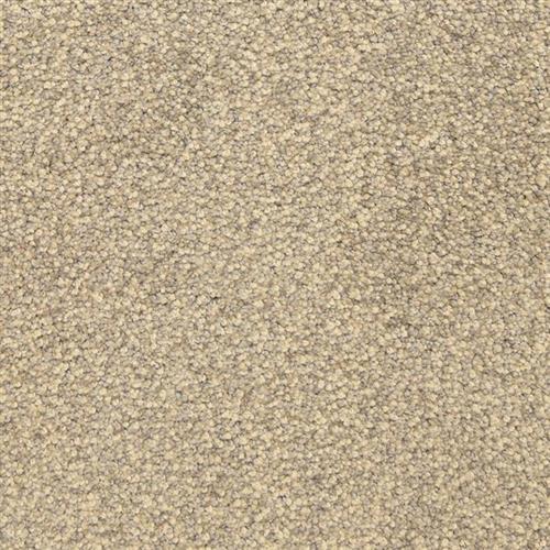 This and That in Storm Carpet