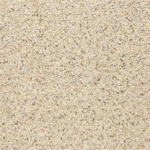This and That in Granite Carpet