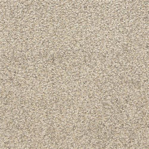 This and That in Stone Carpet
