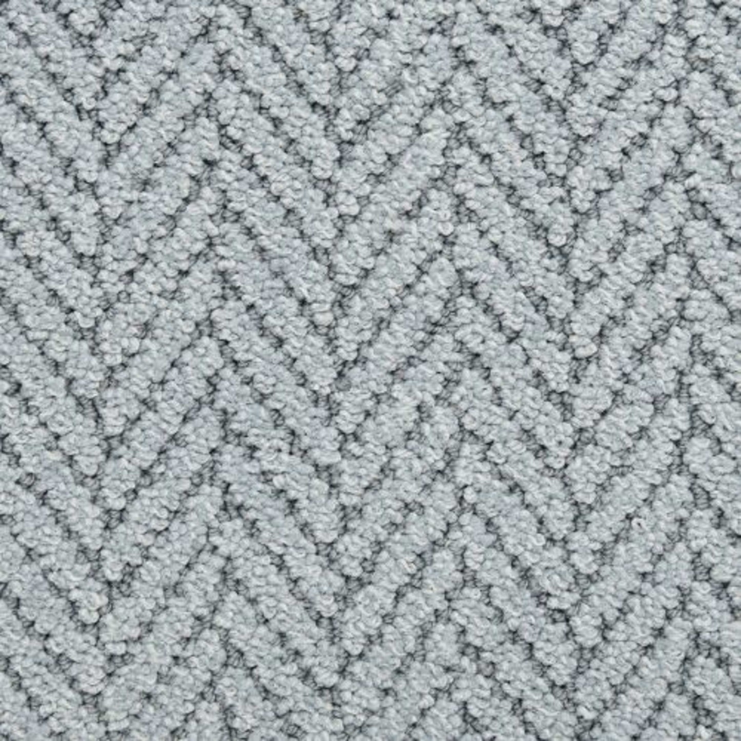 Distinguished in Regatta Carpet