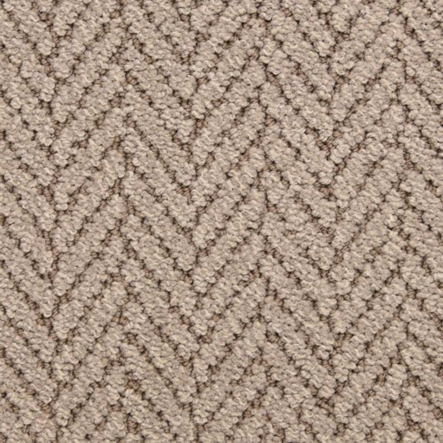 Distinguished in Seagull Carpet