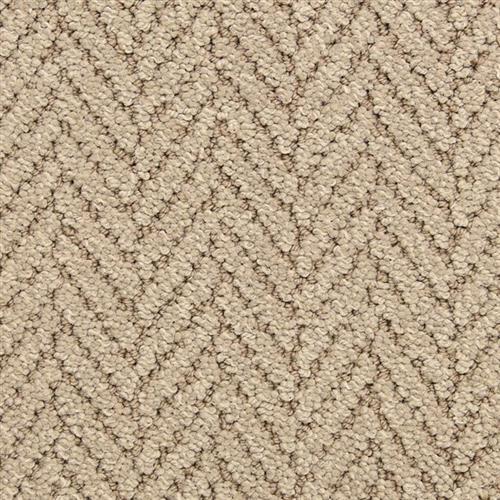 Distinguished in Hot Stone Carpet