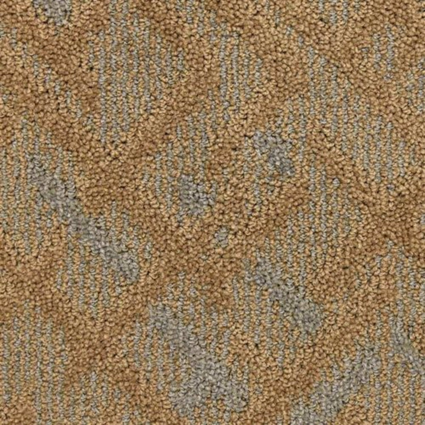Orion in Star Carpet
