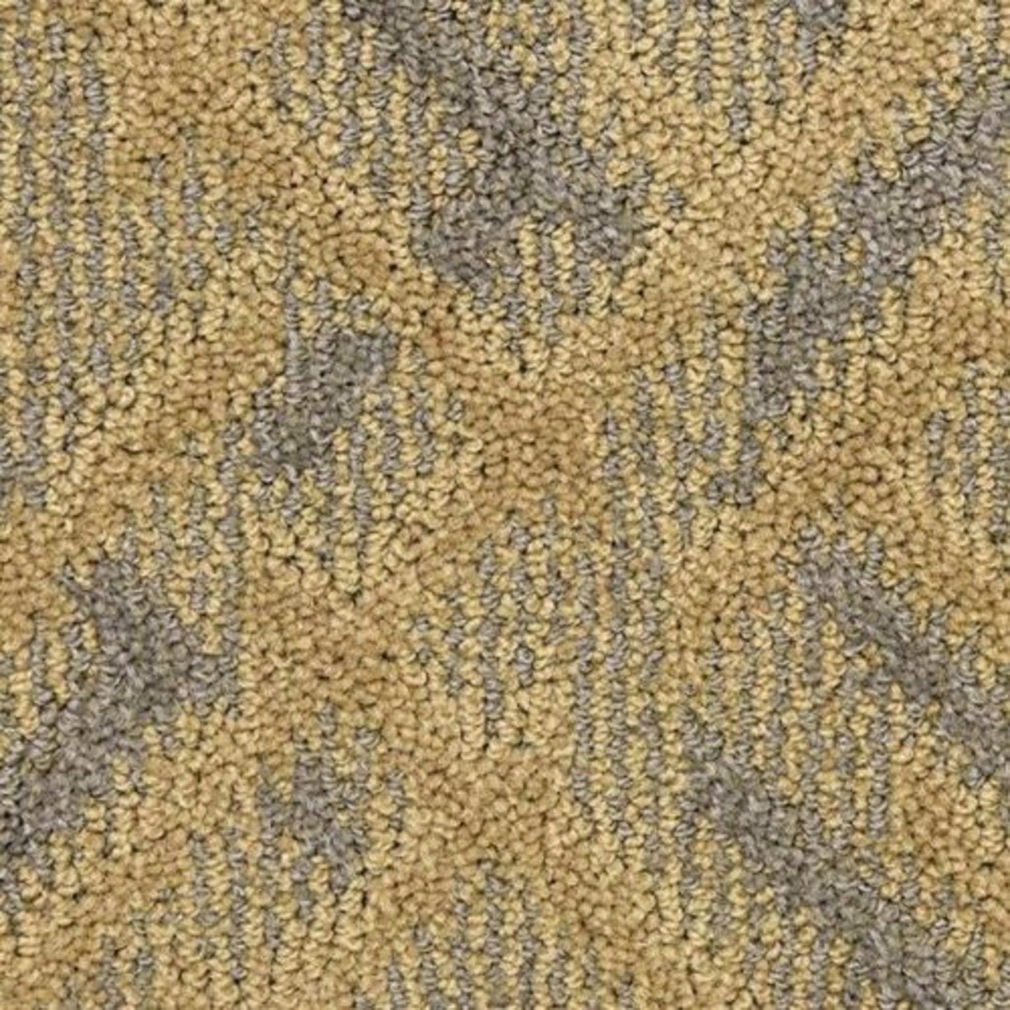 Orion in Supernova Carpet