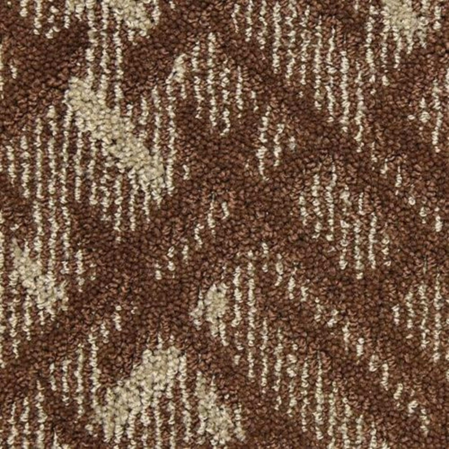 Orion in Asteroid Carpet