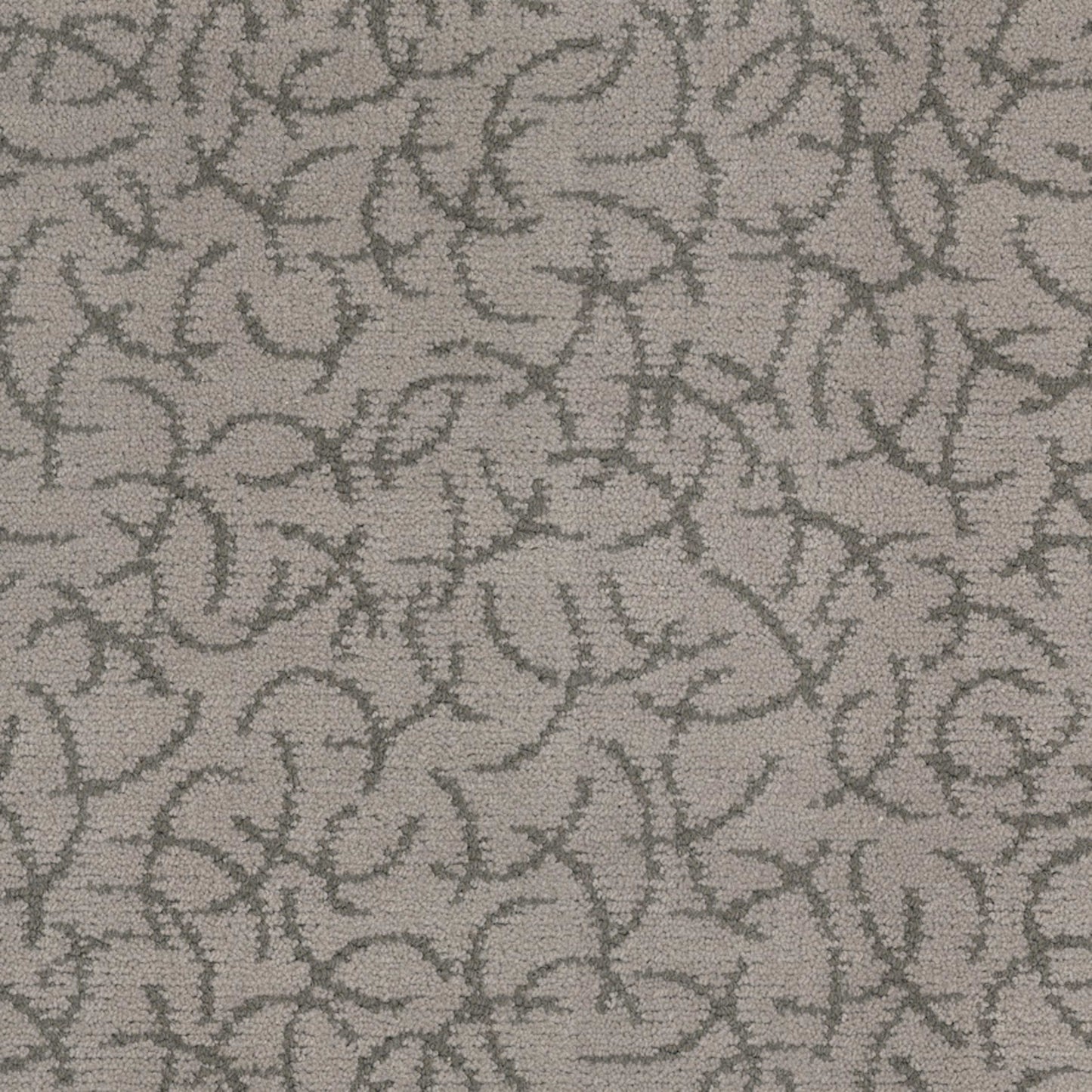 Altair in Andromeda Carpet