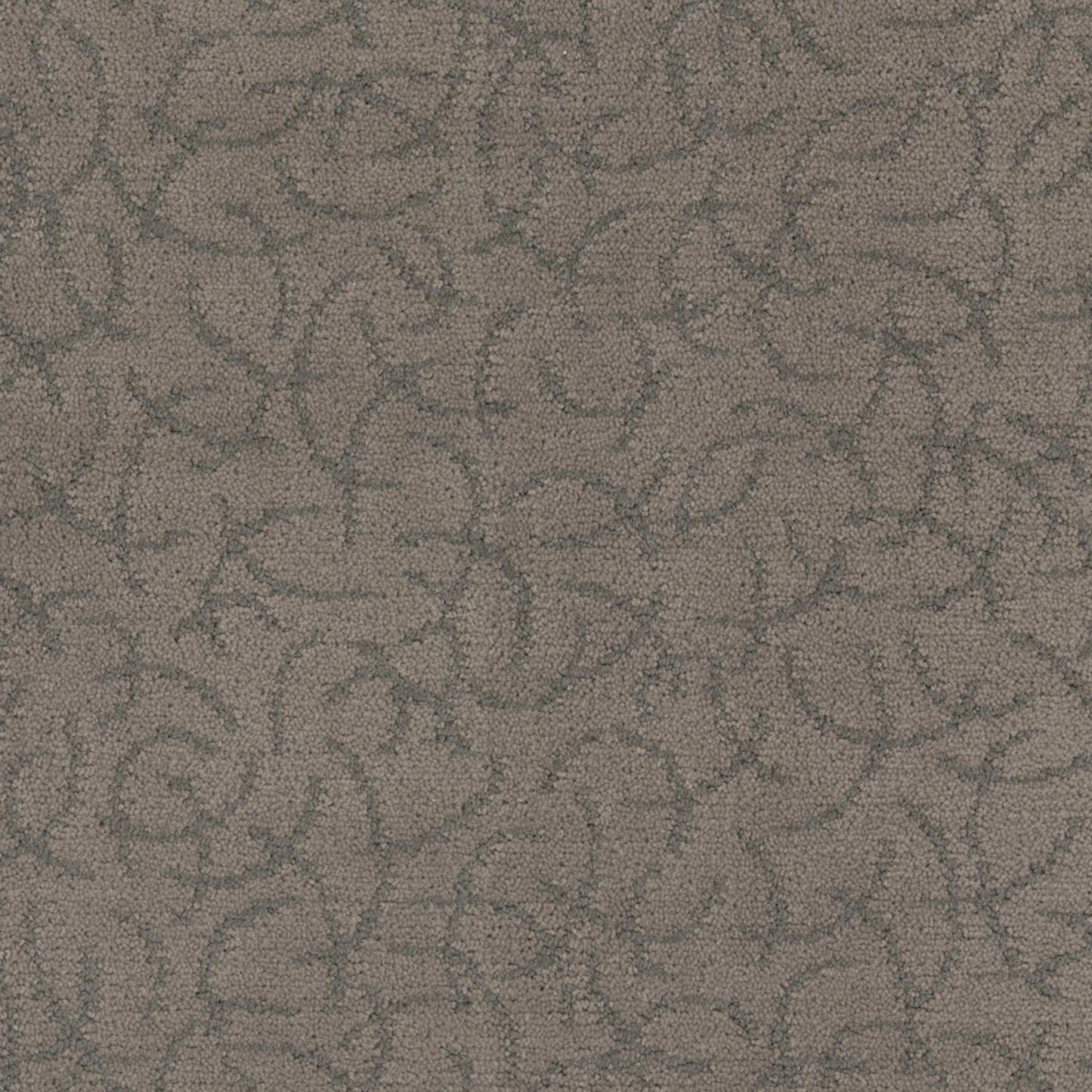 Altair in Celestial Carpet