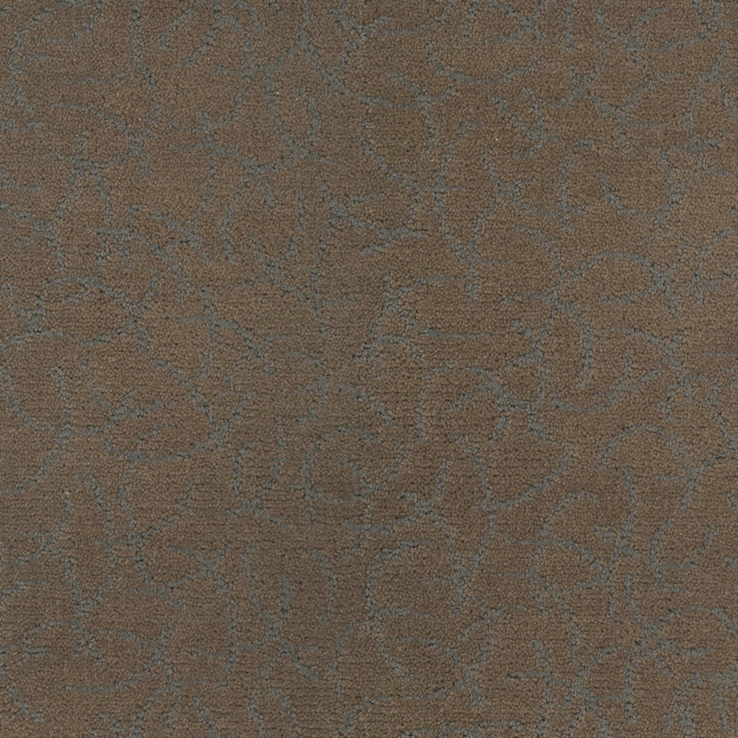 Altair in Star Carpet