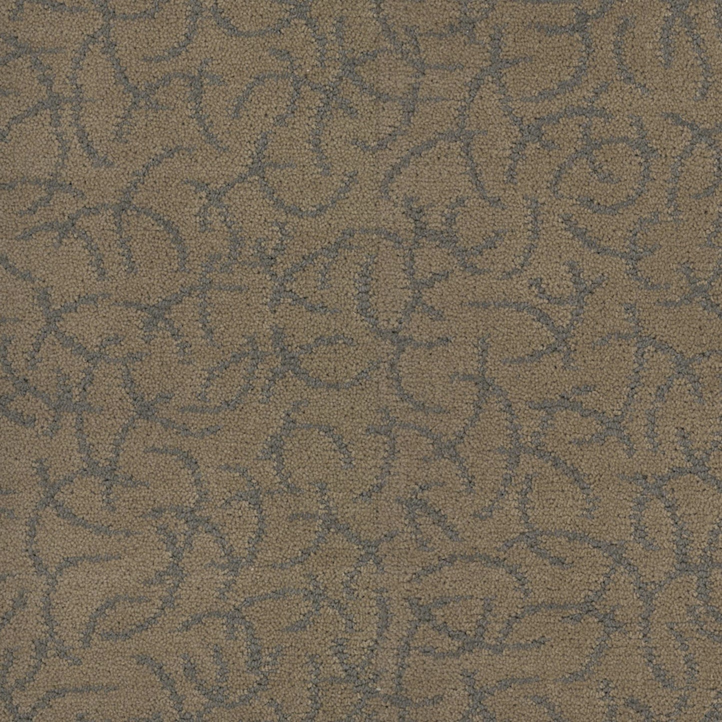Altair in Supernova Carpet