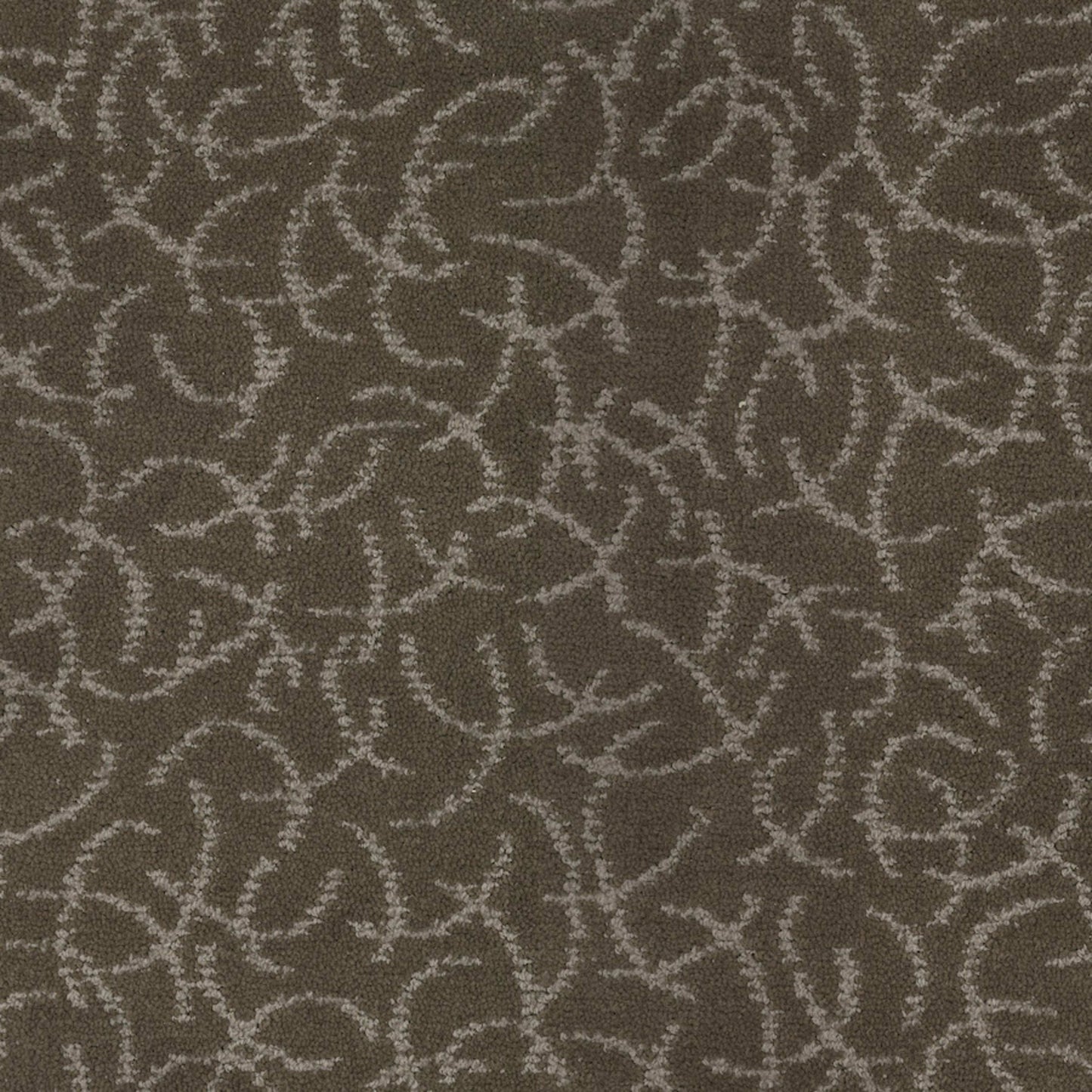 Altair in Terrestrial Carpet