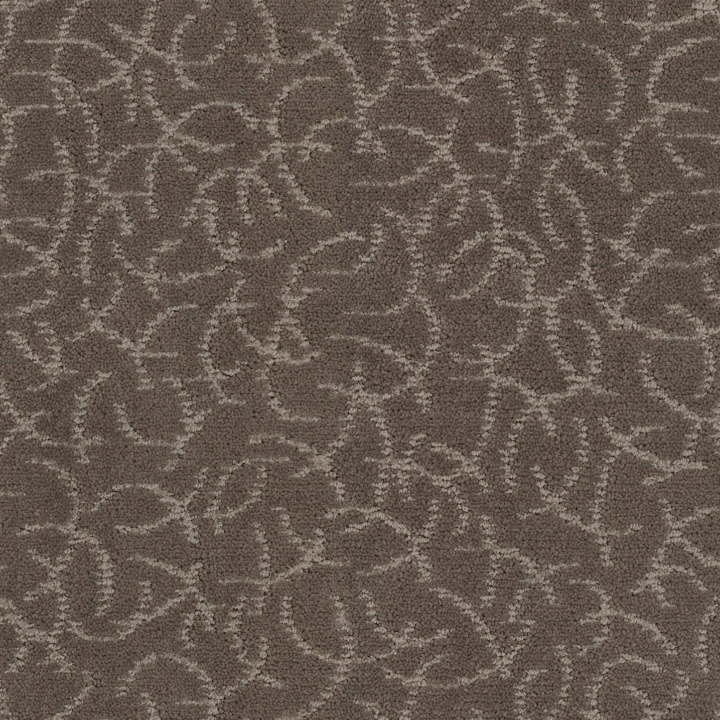 Altair in Universe Carpet