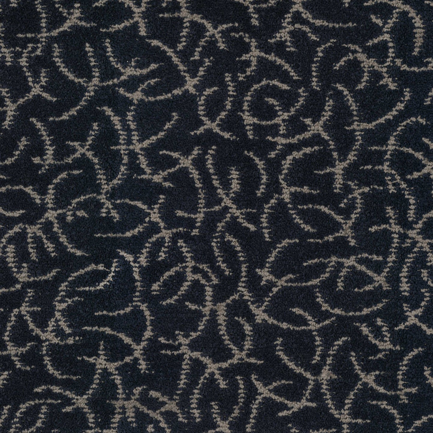 Altair in Outer Space Carpet