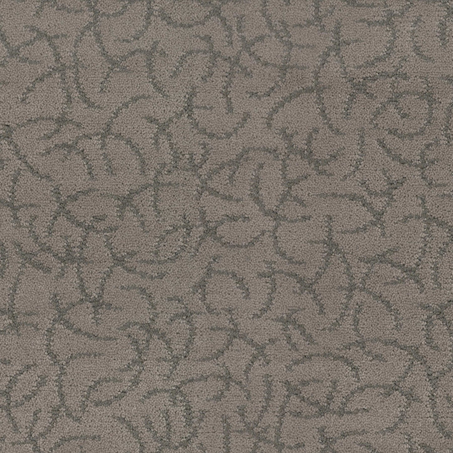 Altair in Astronomic Carpet