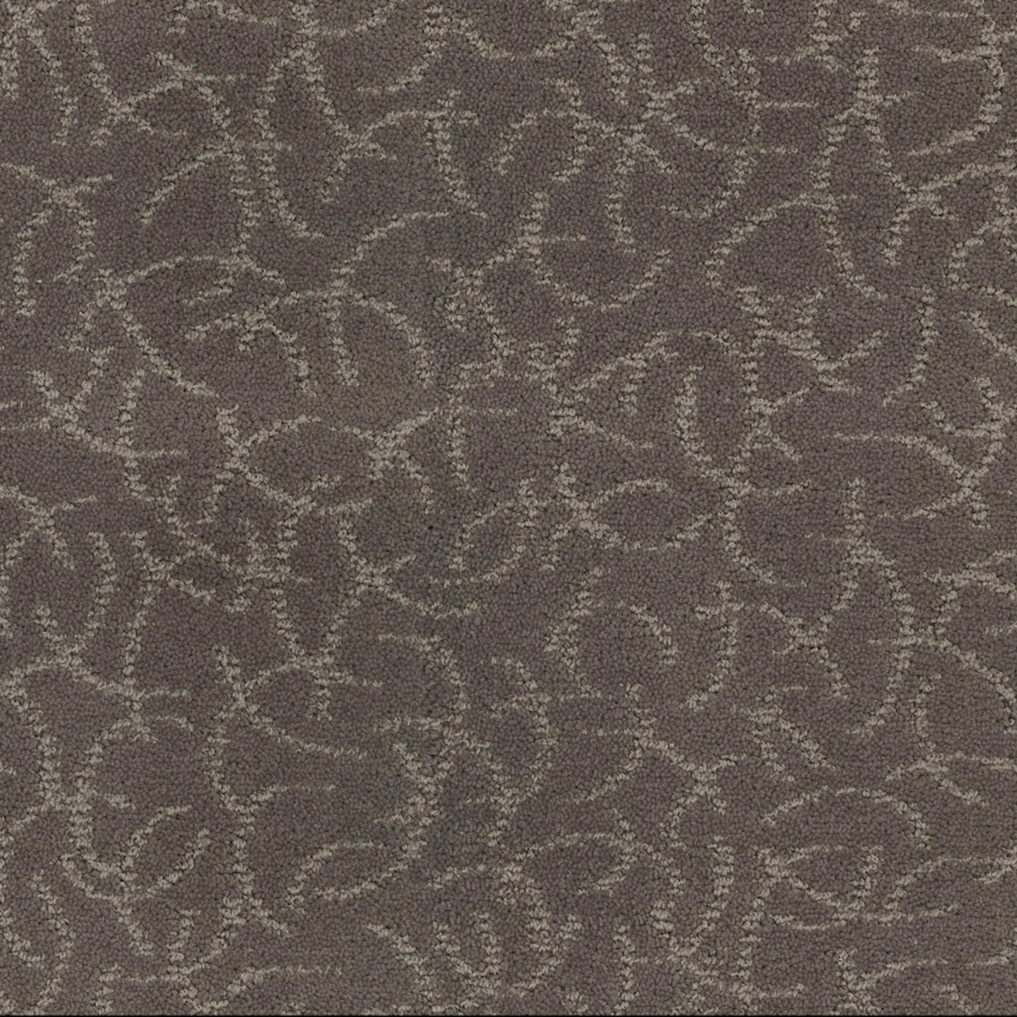 Altair in Solar System Carpet