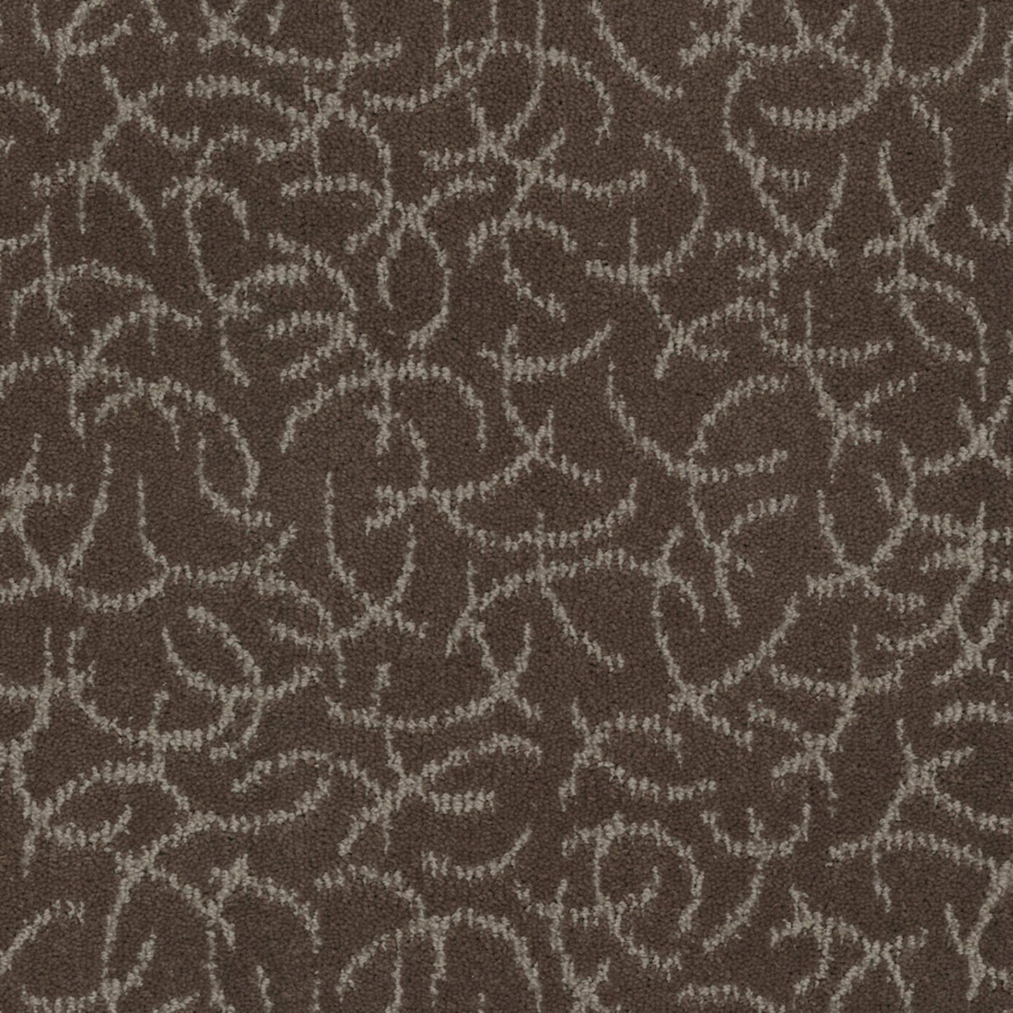 Altair in Asteroid Carpet