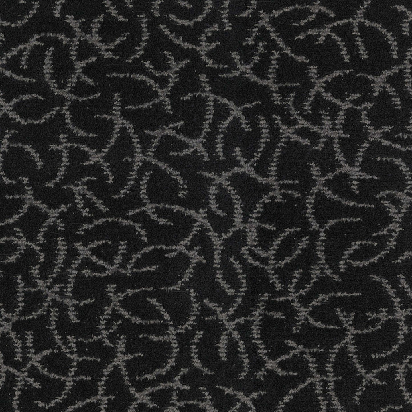 Altair in Black Hole Carpet