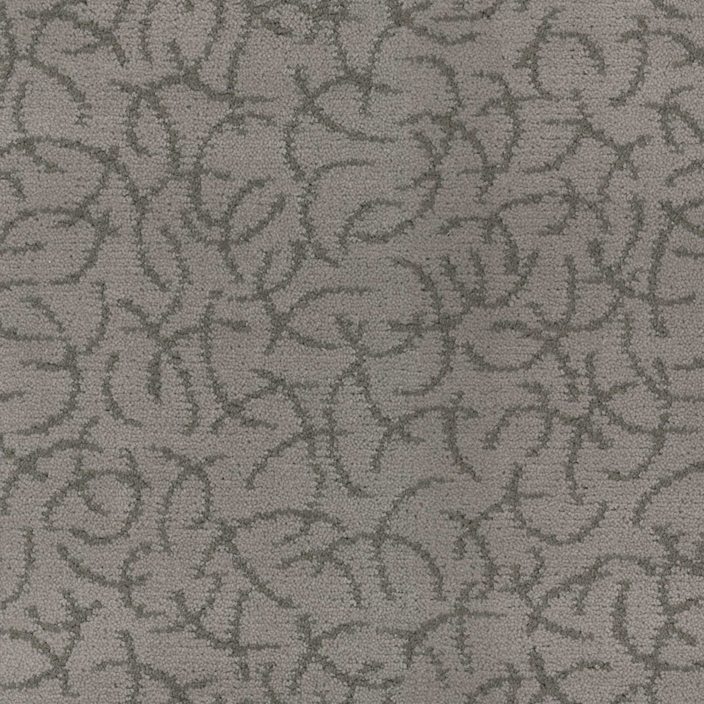 Altair in Meteor Carpet