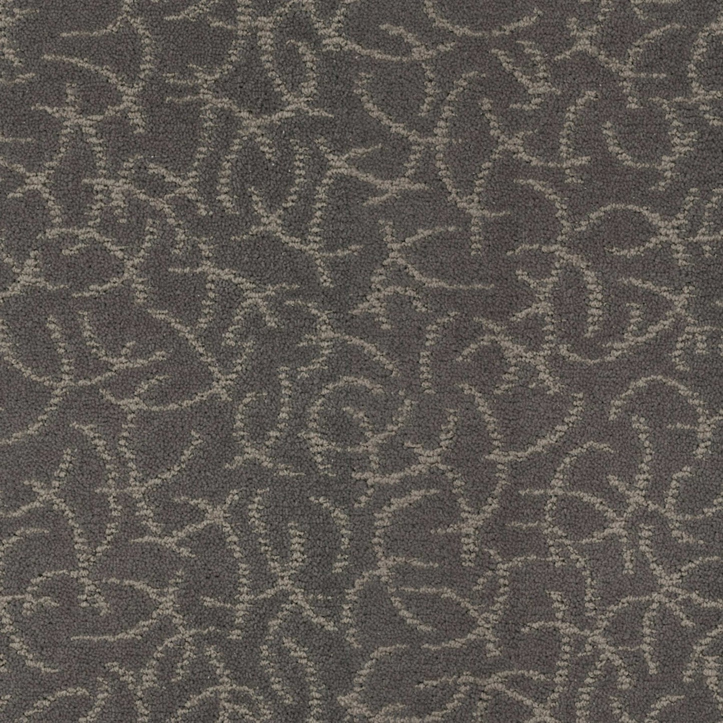 Altair in Constellation Carpet