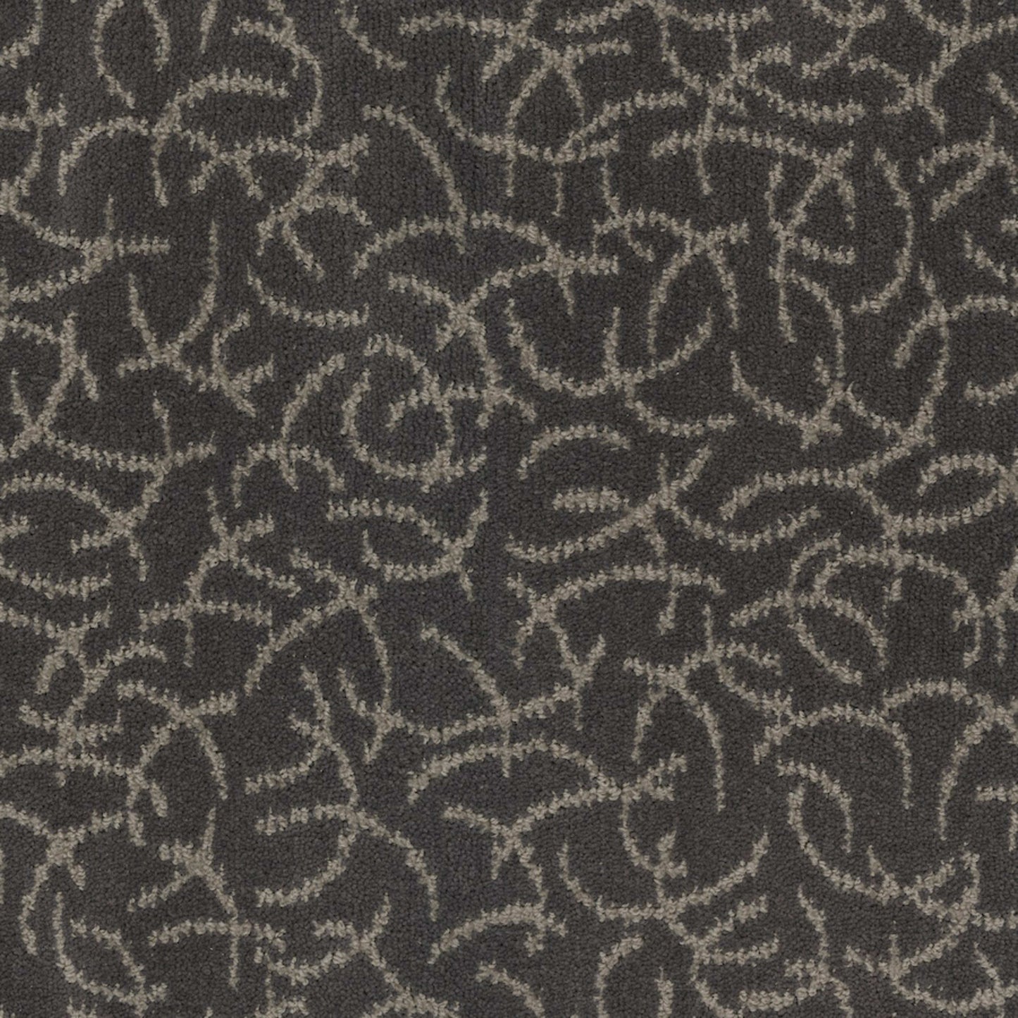 Altair in Comet Carpet