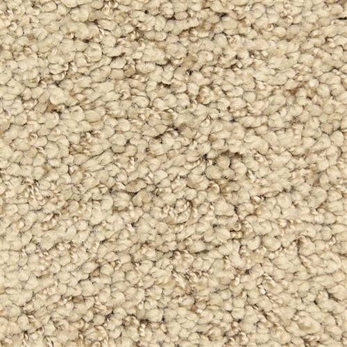 Shangri-La Too in Immortal Carpet