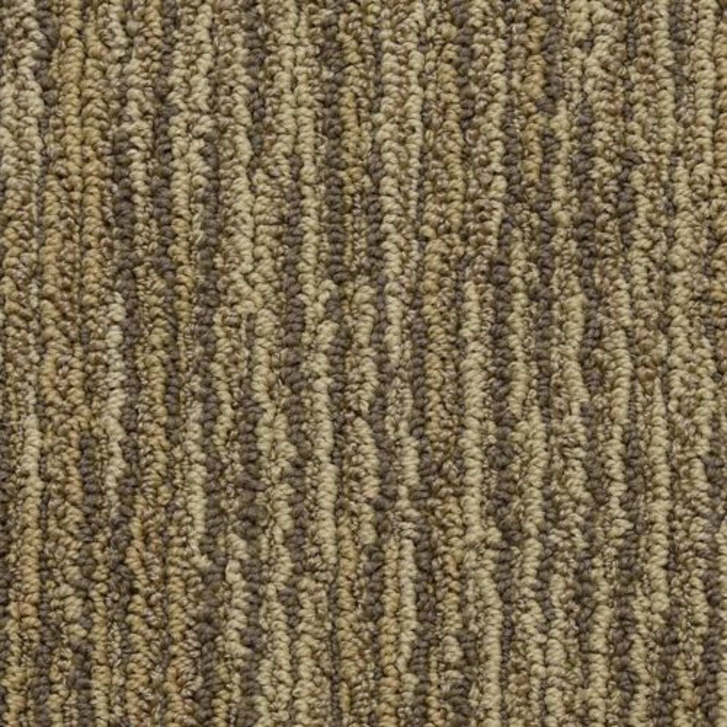 Vivacity in Sparkle Carpet