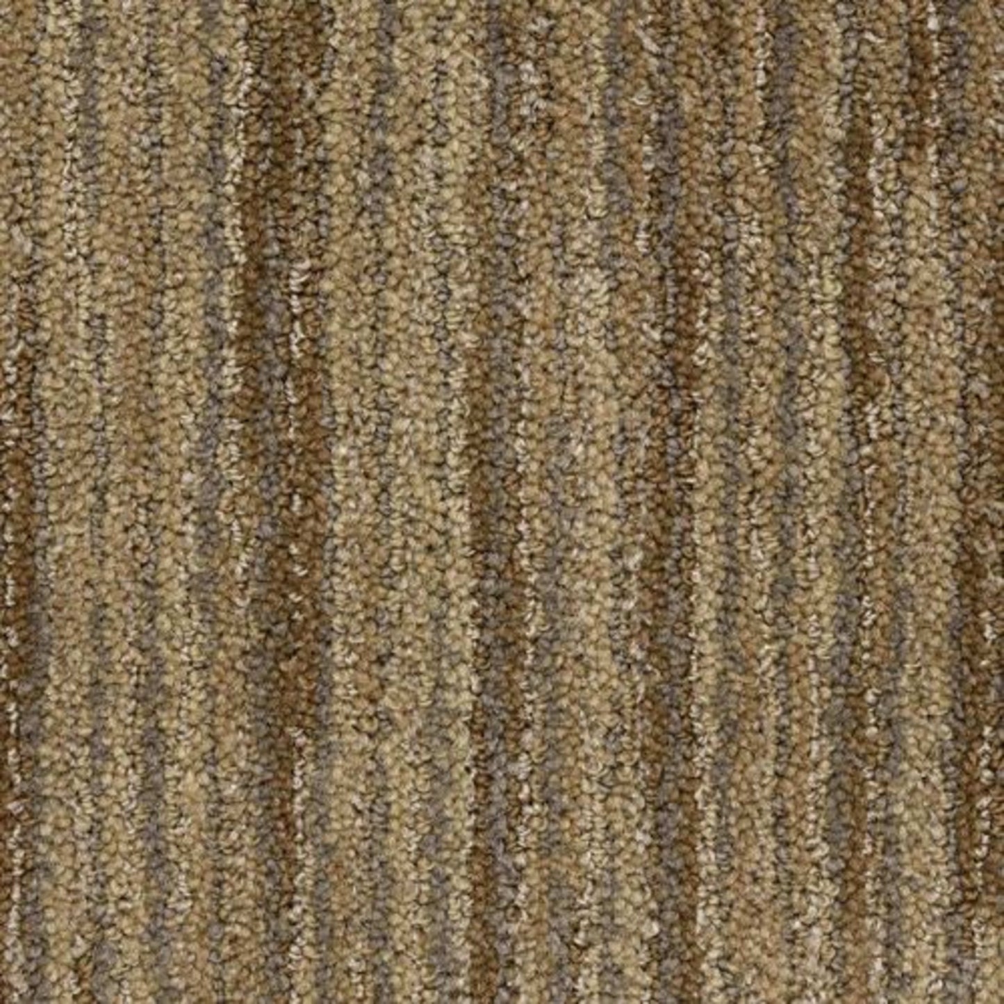 Vivacity in Ardor Carpet