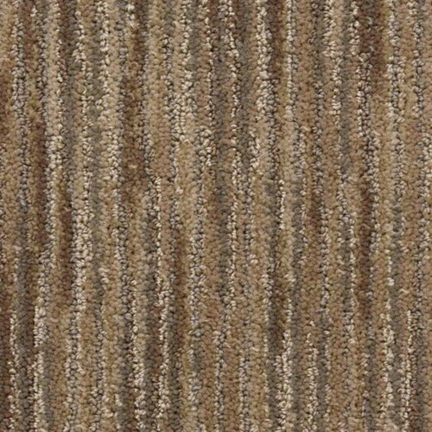 Vivacity in Spirit Carpet