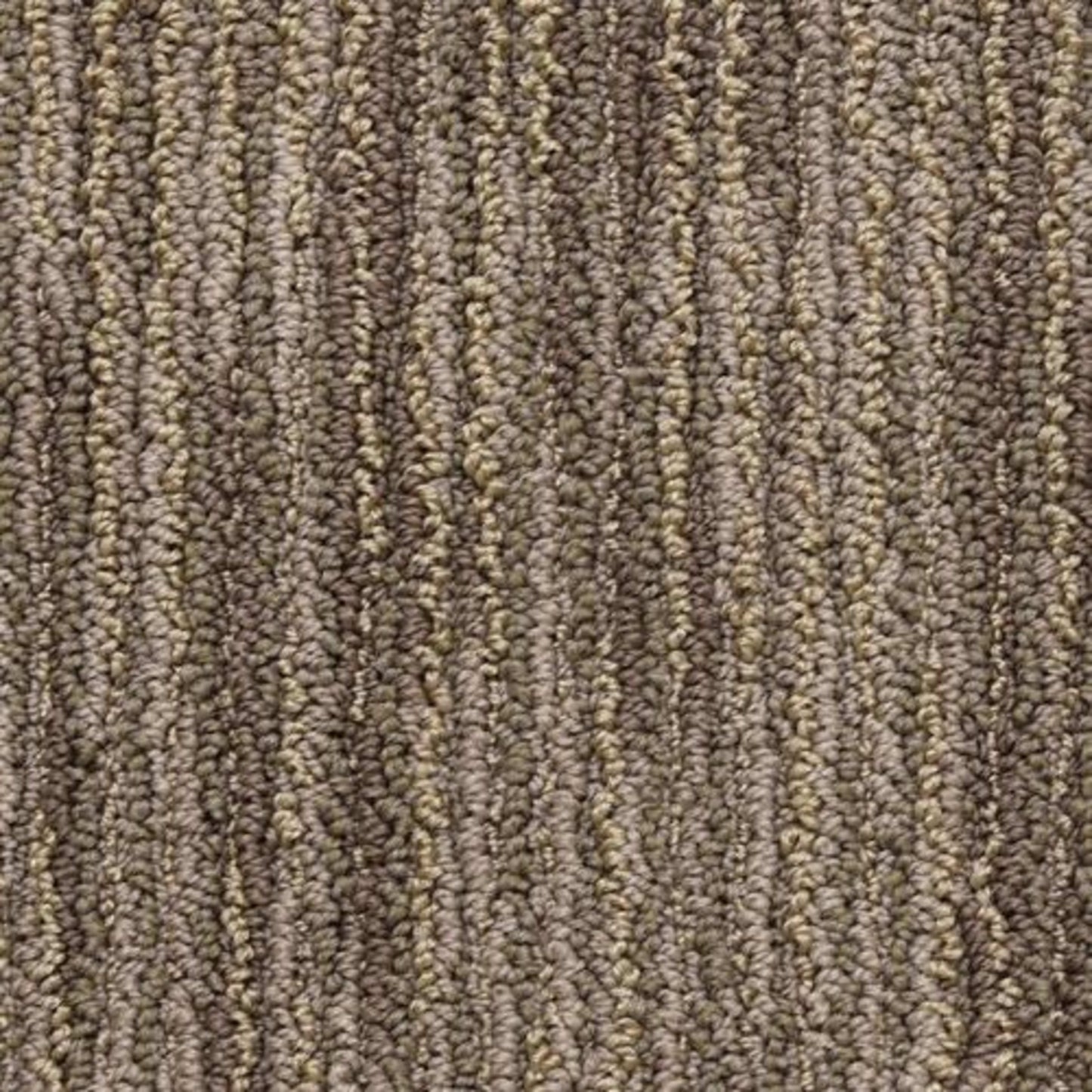 Vivacity in Vitality Carpet