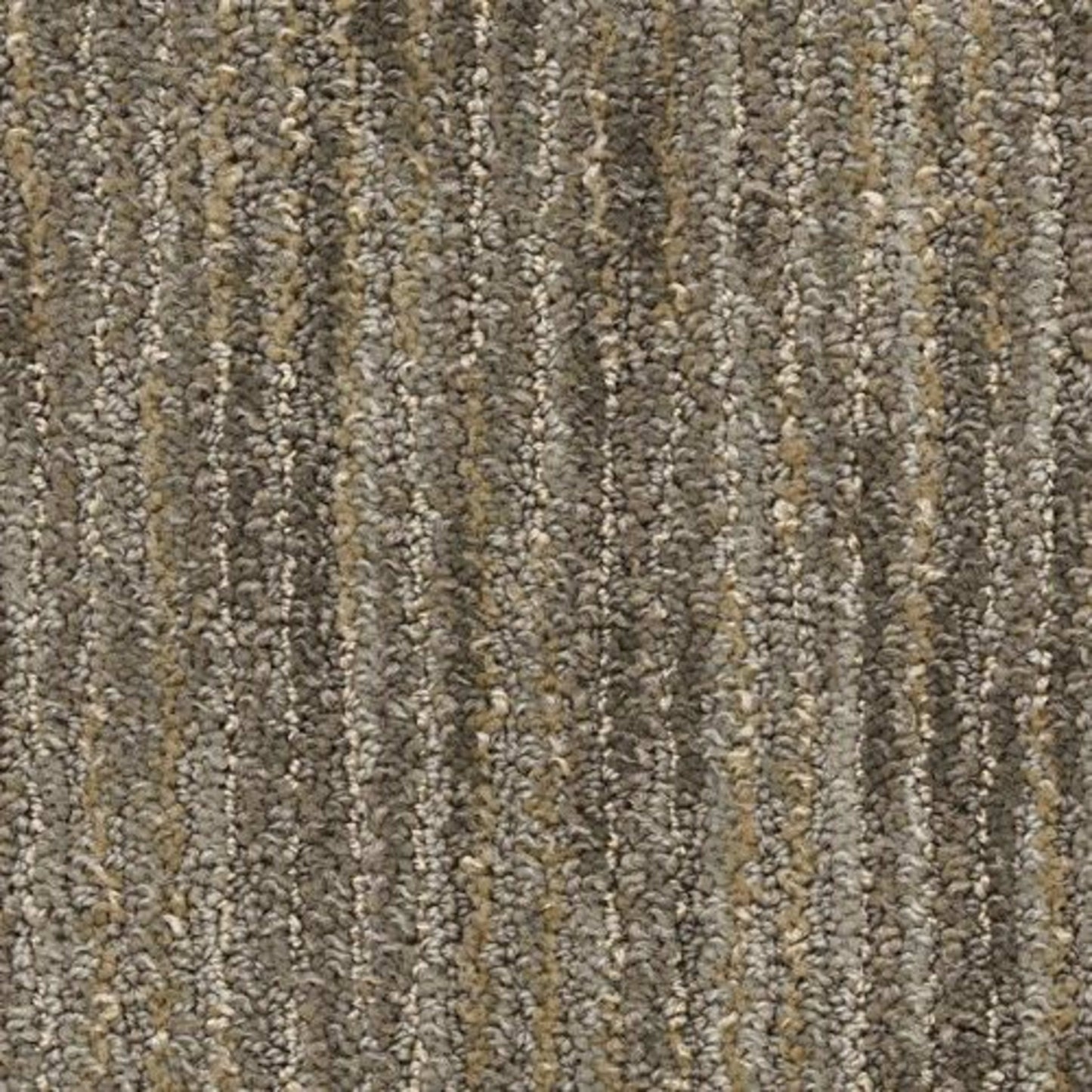 Vivacity in Zeal Carpet