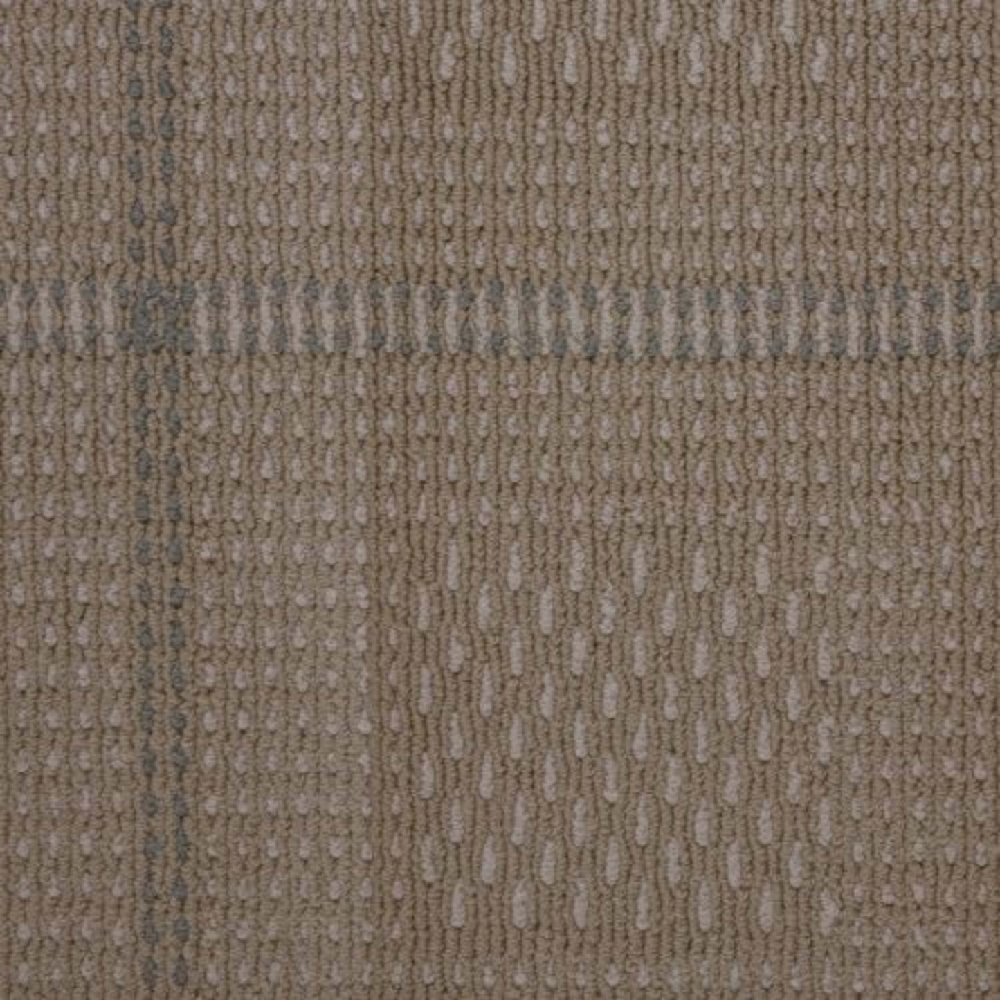 Bombay Vibration in Vibe Carpet