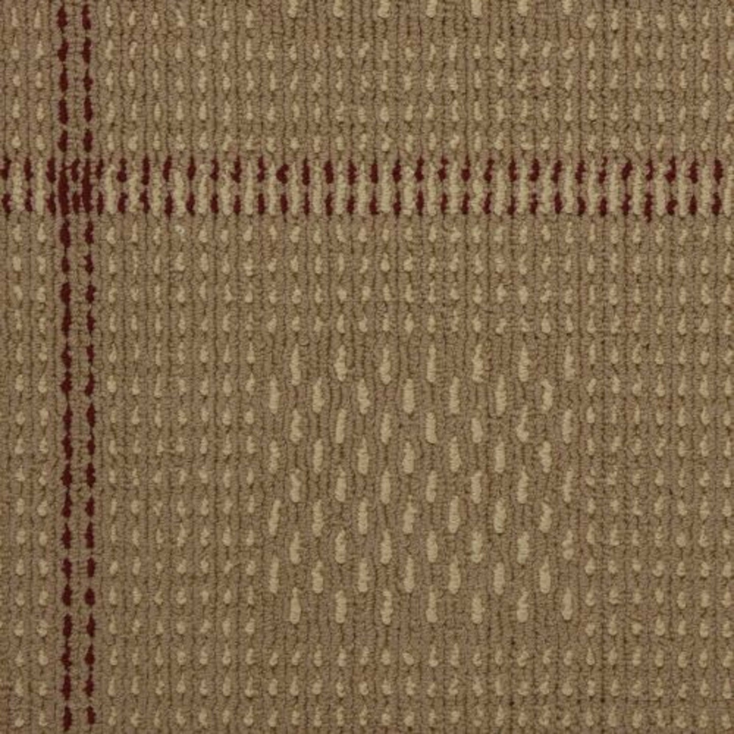 Bombay Vibration in Surge Carpet