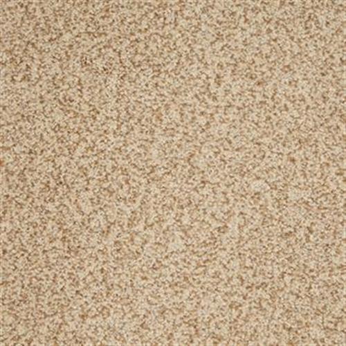Harbor Town in Gallery Carpet