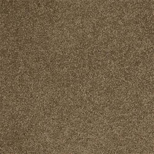 Harbor Town in Nature Carpet
