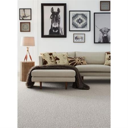 Mesa Bella in Agua Carpet