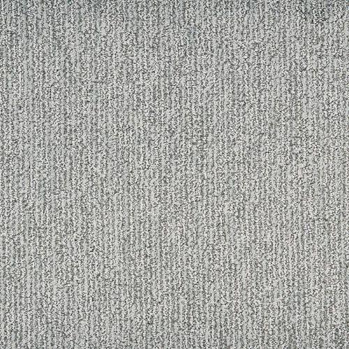 Mesa Bella in Gris Carpet