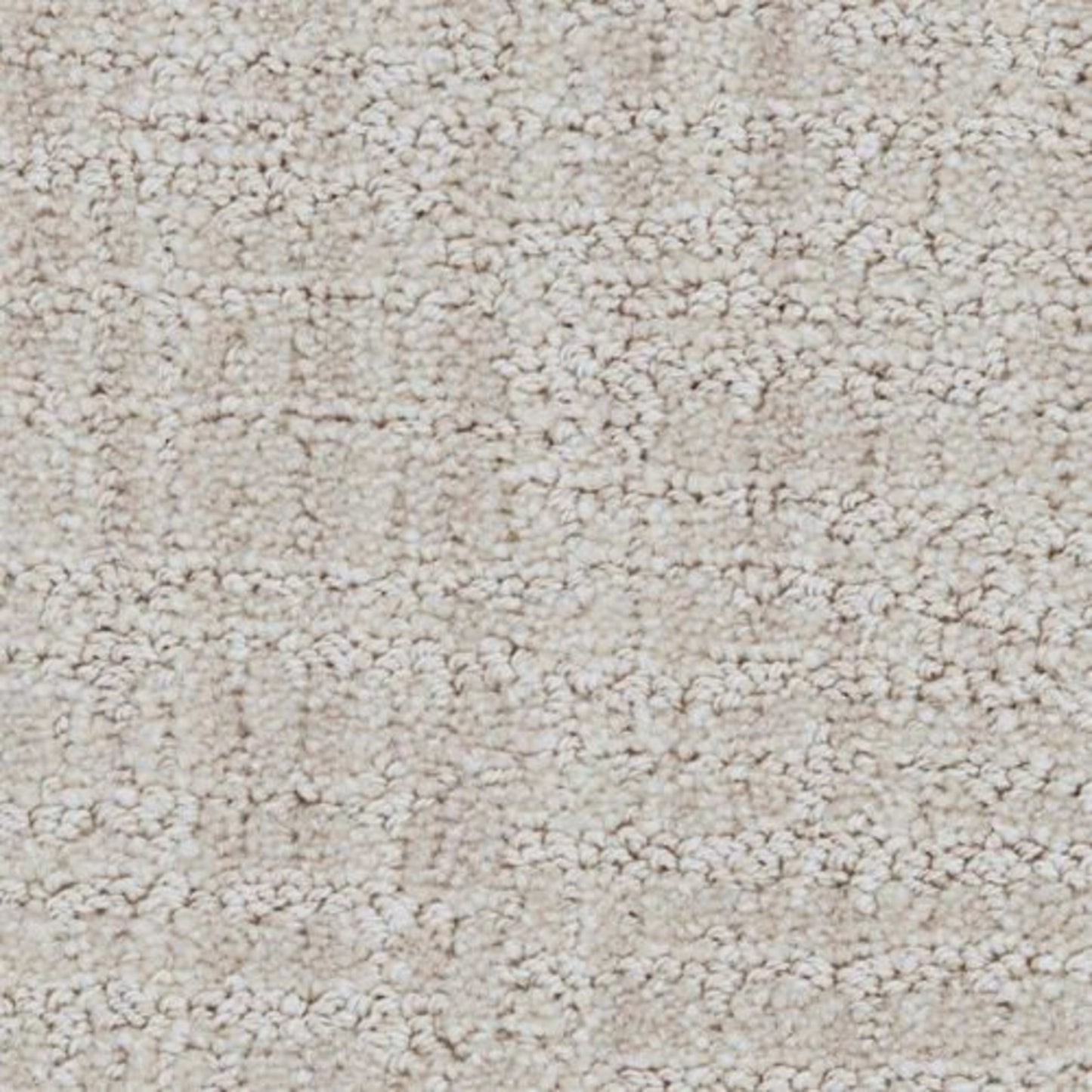 Grace in Polished Carpet