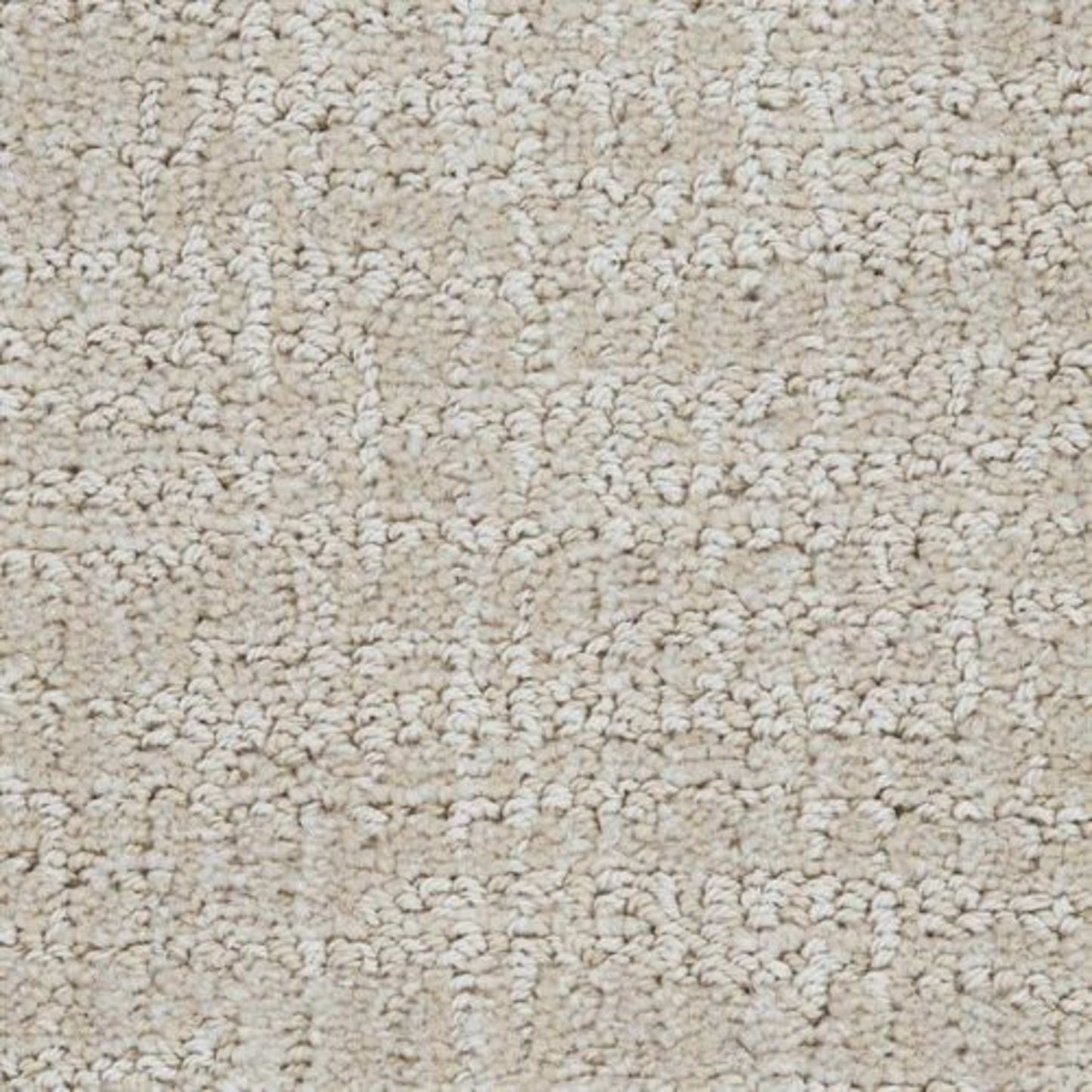 Grace in Chic Carpet