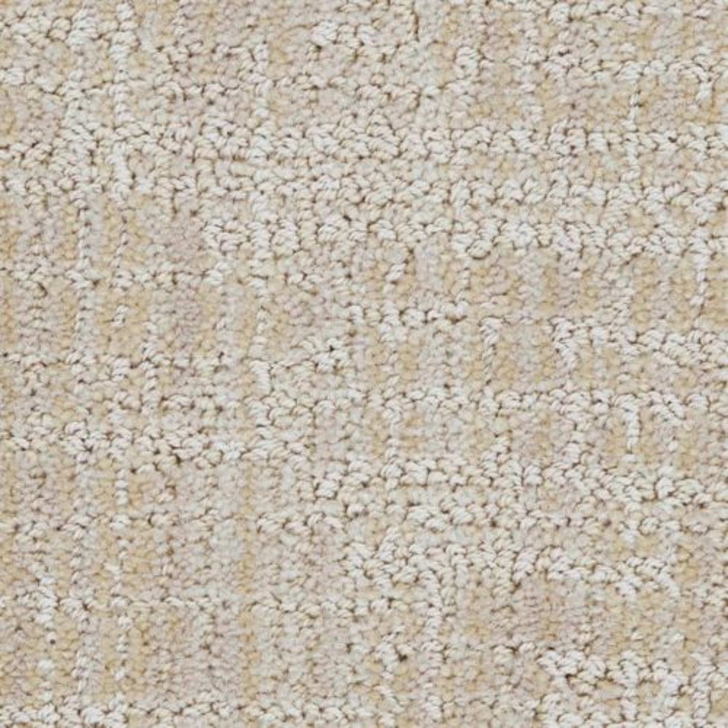 Grace in Distinct Carpet