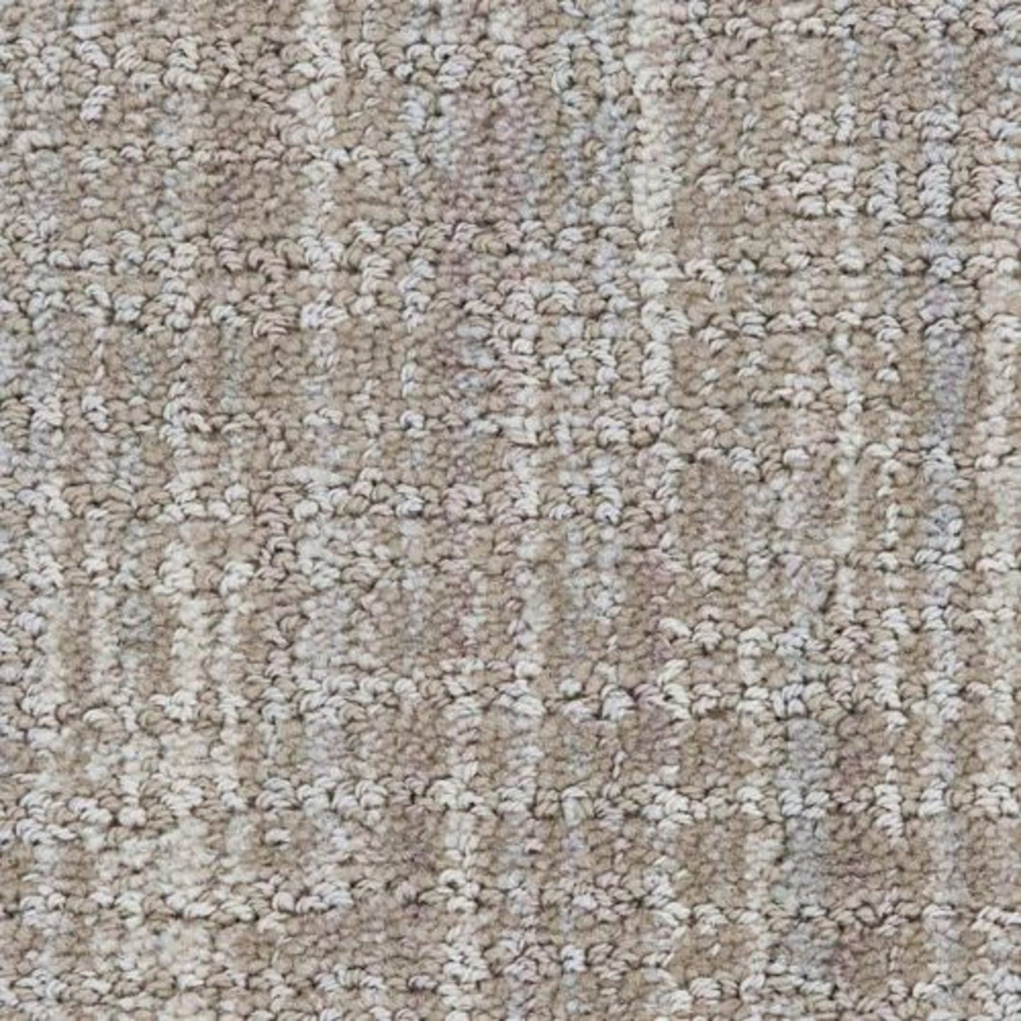 Grace in Sophisticated Carpet