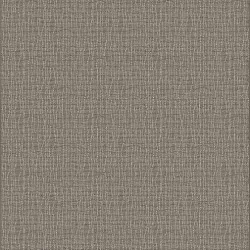 Backdrop - Graphite