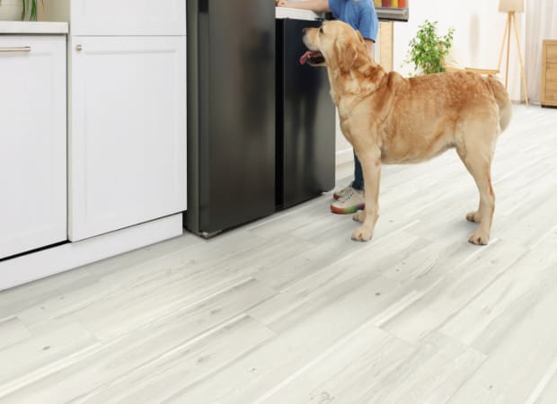 #sku_MAX8-BEACH HOUSE-White Wash